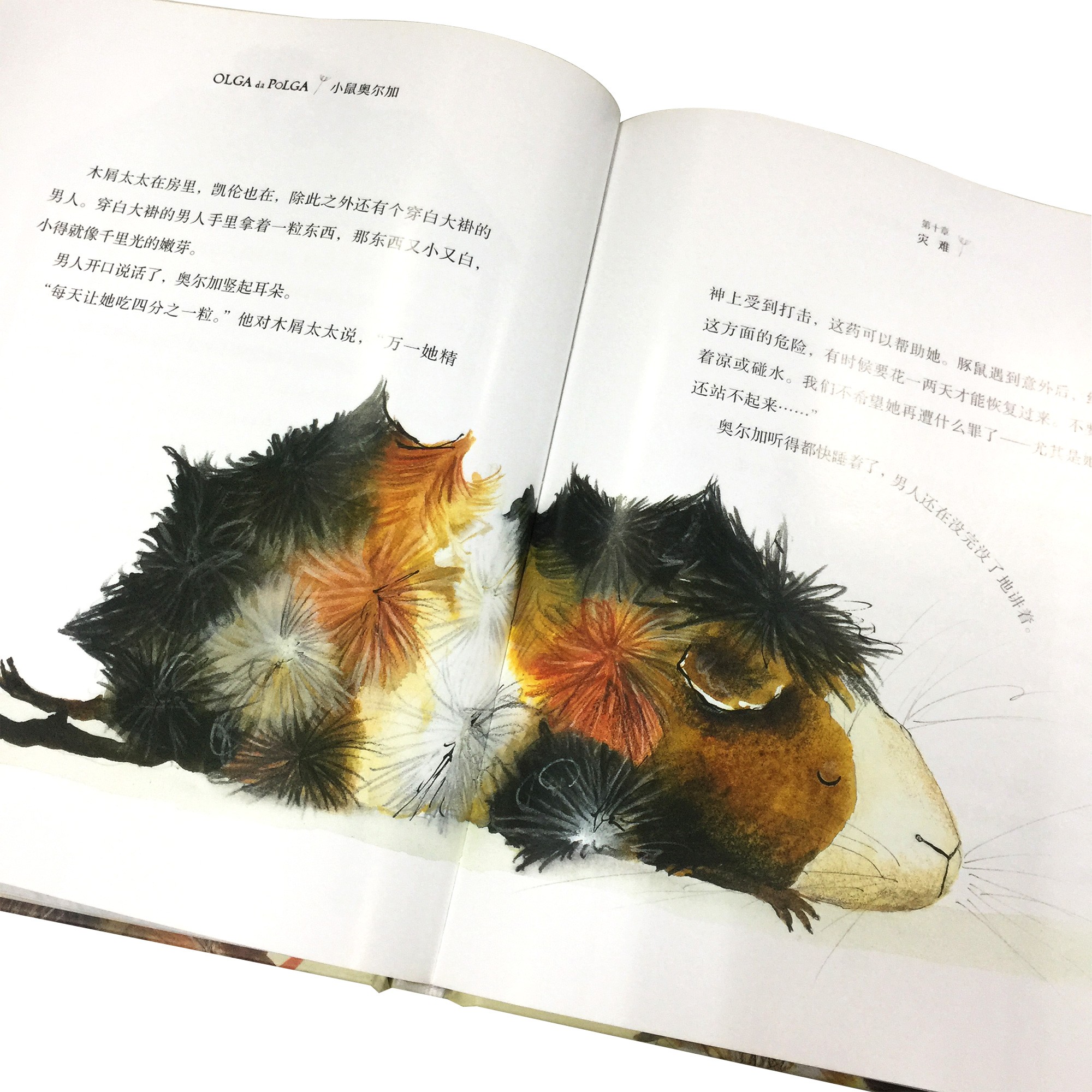 007272fb231d969 007272fb231d969