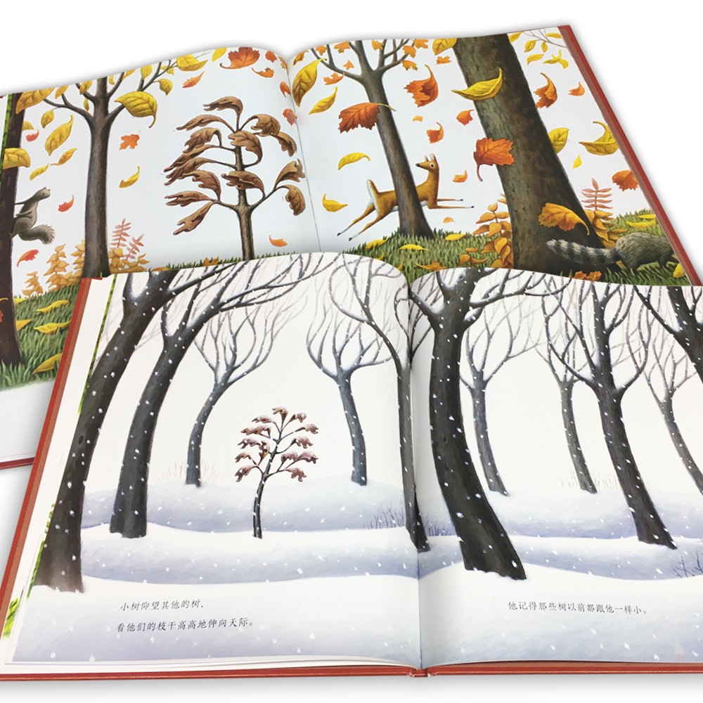 2ecb94c9c6117a6 2ecb94c9c6117a6