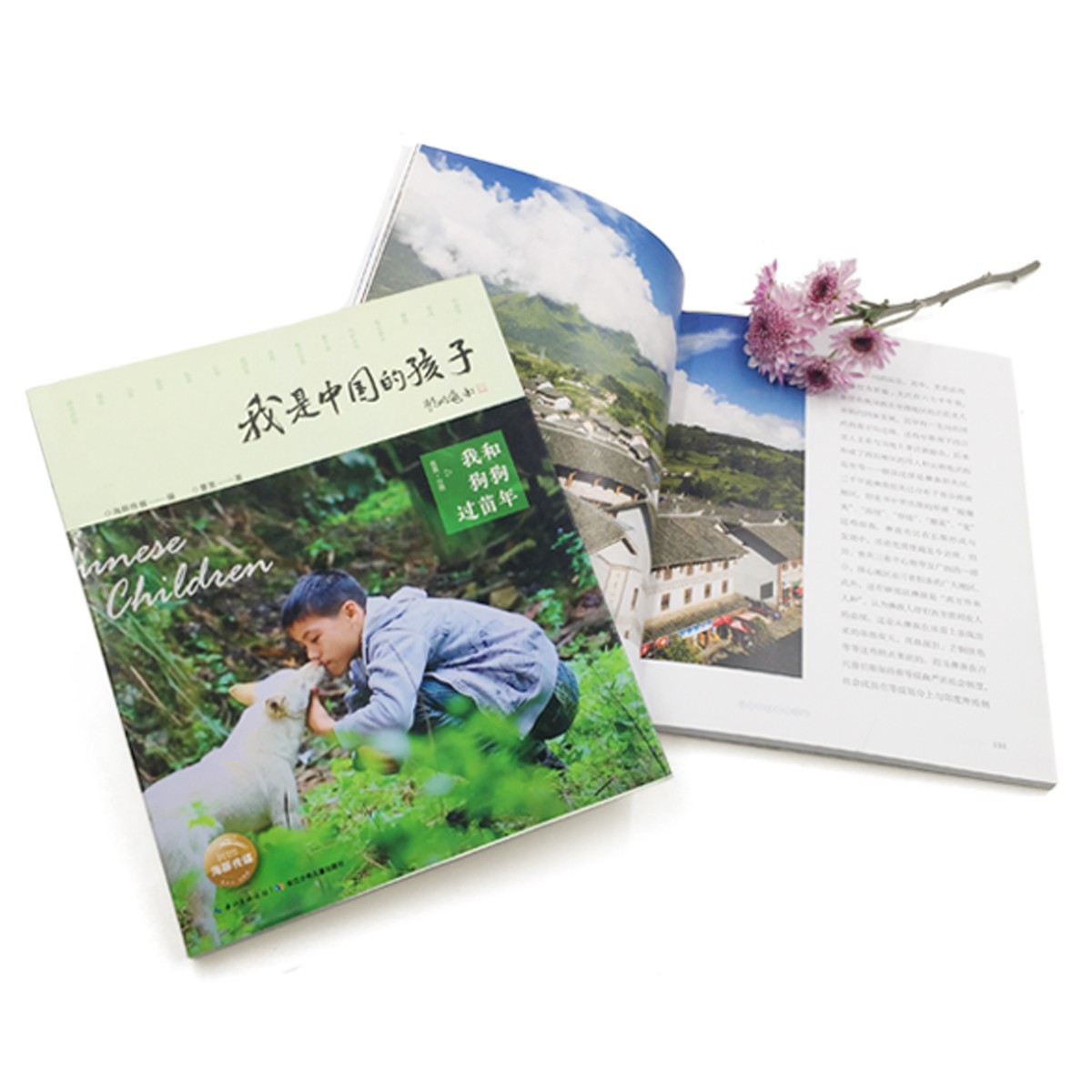 37b02355ec5e8aa 37b02355ec5e8aa