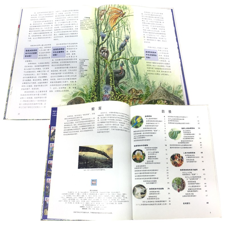 42d0aa0b91312cd 42d0aa0b91312cd