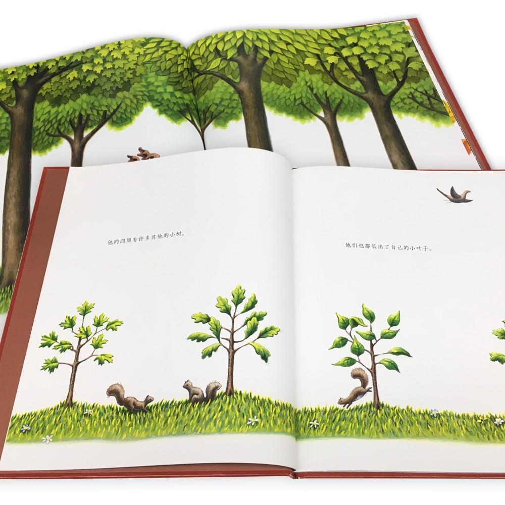 5cc99a42d03b82c 5cc99a42d03b82c