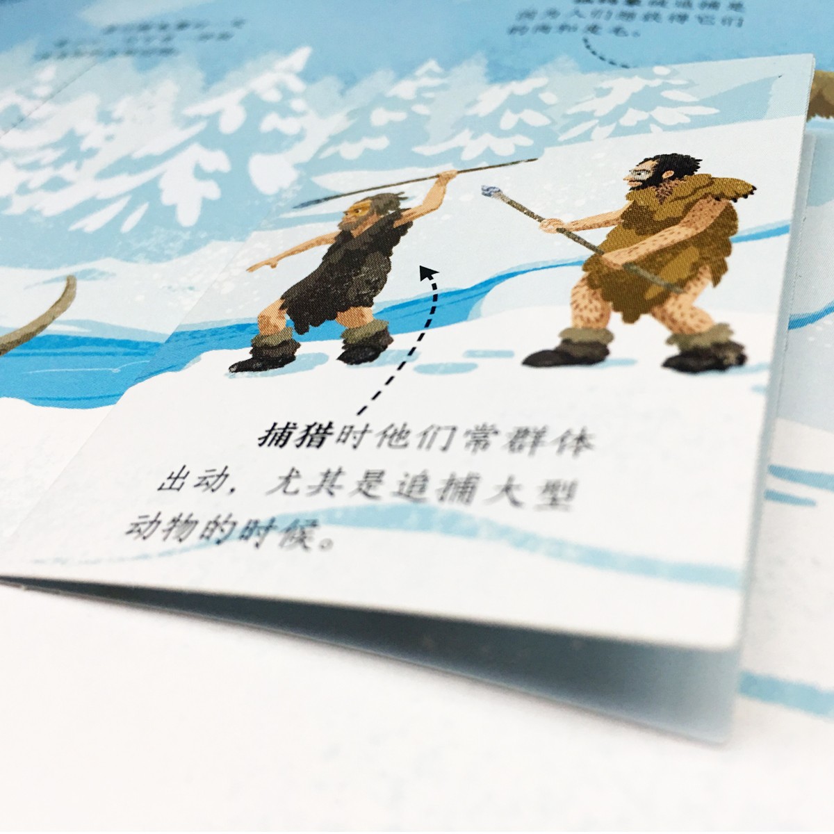 84f7b0f7ae72f2b 84f7b0f7ae72f2b