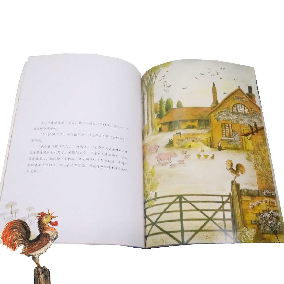 ac3f243e87fb01e ac3f243e87fb01e