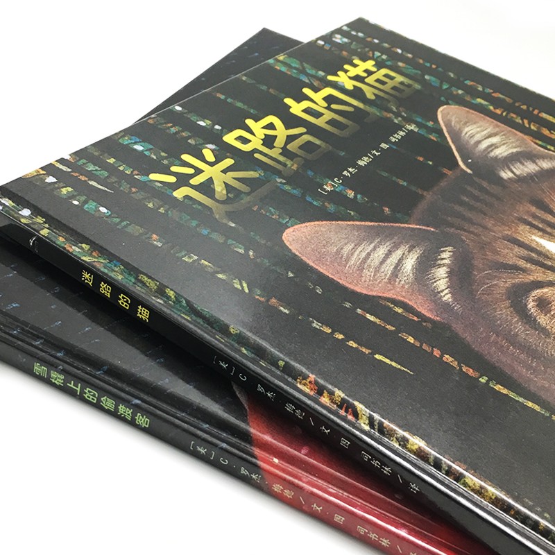 b7a6c2becea737c b7a6c2becea737c