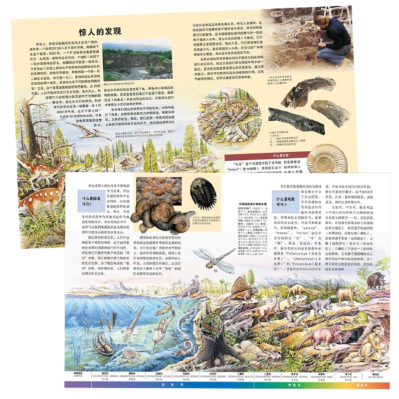 bda1875cd2e9e bda1875cd2e9e