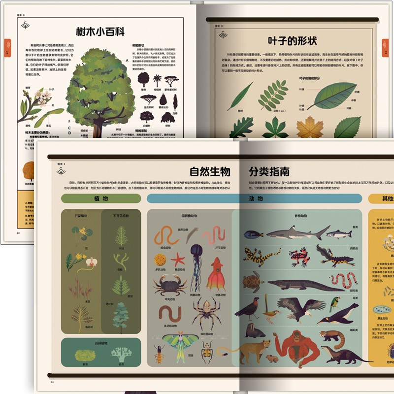 d43f832091d85b1 d43f832091d85b1