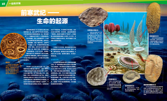 ΢��ͼƬ_20210129151605